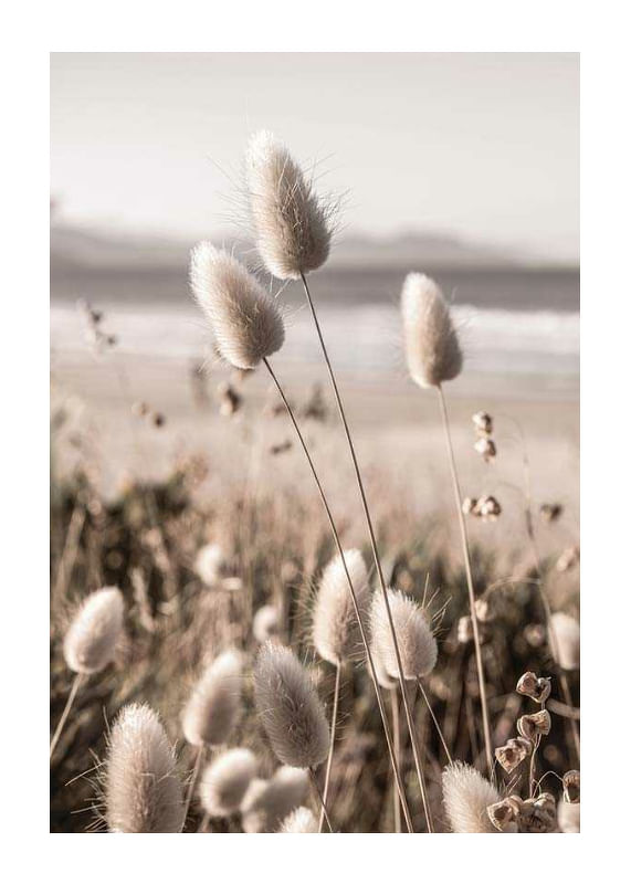 Soft Grass-12