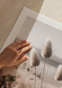 Close-up of soft beige grass blades against blurred beach background-9