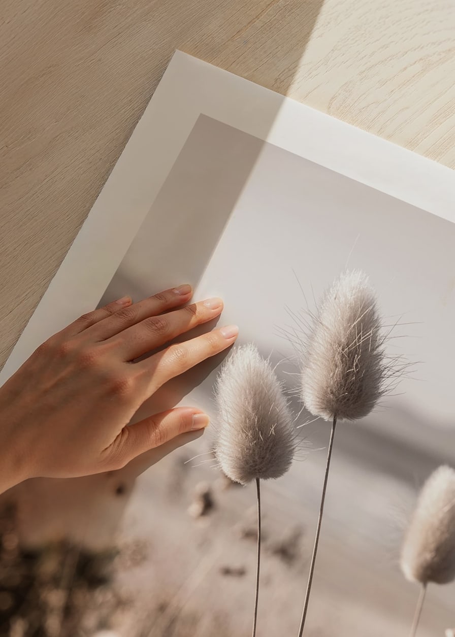 Close-up of soft beige grass blades against blurred beach background-12