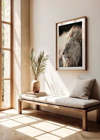 Close-up of African male lion in profile, photographic-8