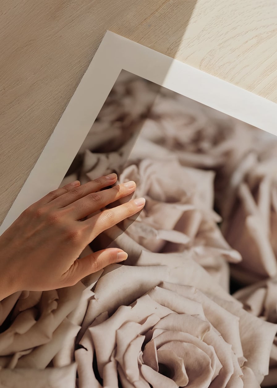 Gros plan de roses beiges aux tons doux, style photographique-12