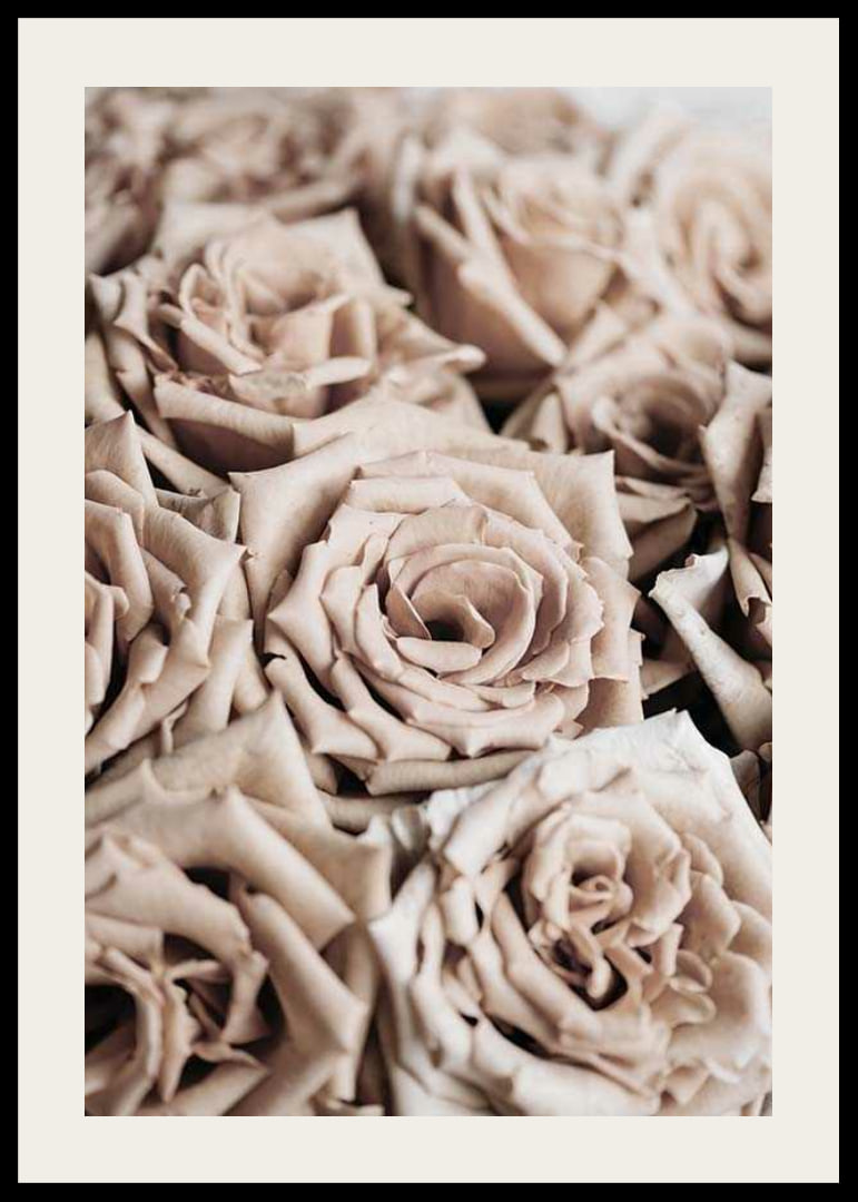 Gros plan de roses beiges aux tons doux, style photographique-12