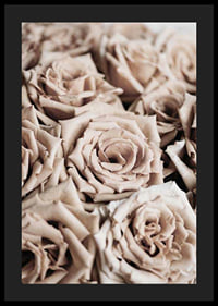 Gros plan de roses beiges aux tons doux, style photographique-4