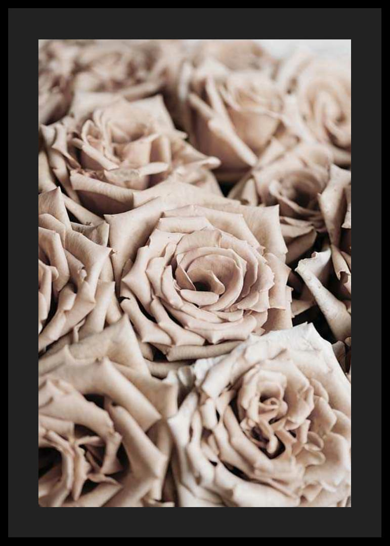 Detailný záber na béžové ruže s jemnými tónmi, fotografický štýl-12