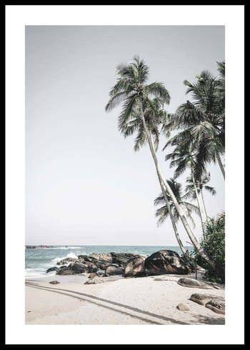 Plakatas Anantara Palm Trees