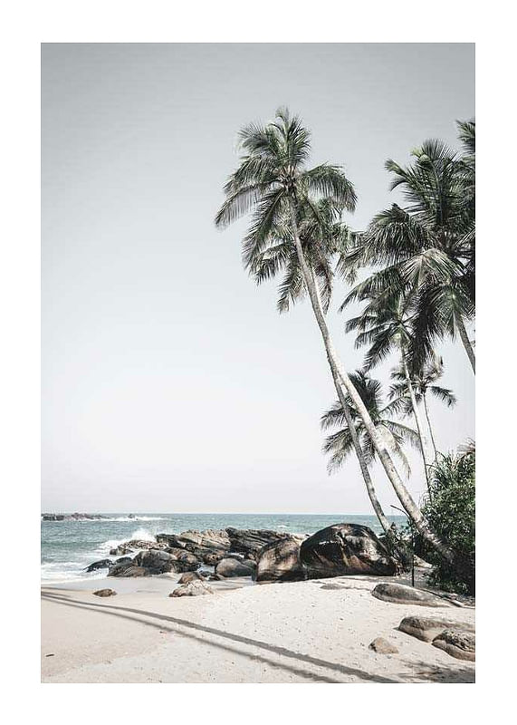 Plagát Anantara Palm Trees