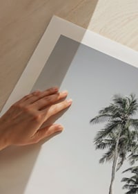 Fotografiska palmer vid sandstrand, klippor och hav-9