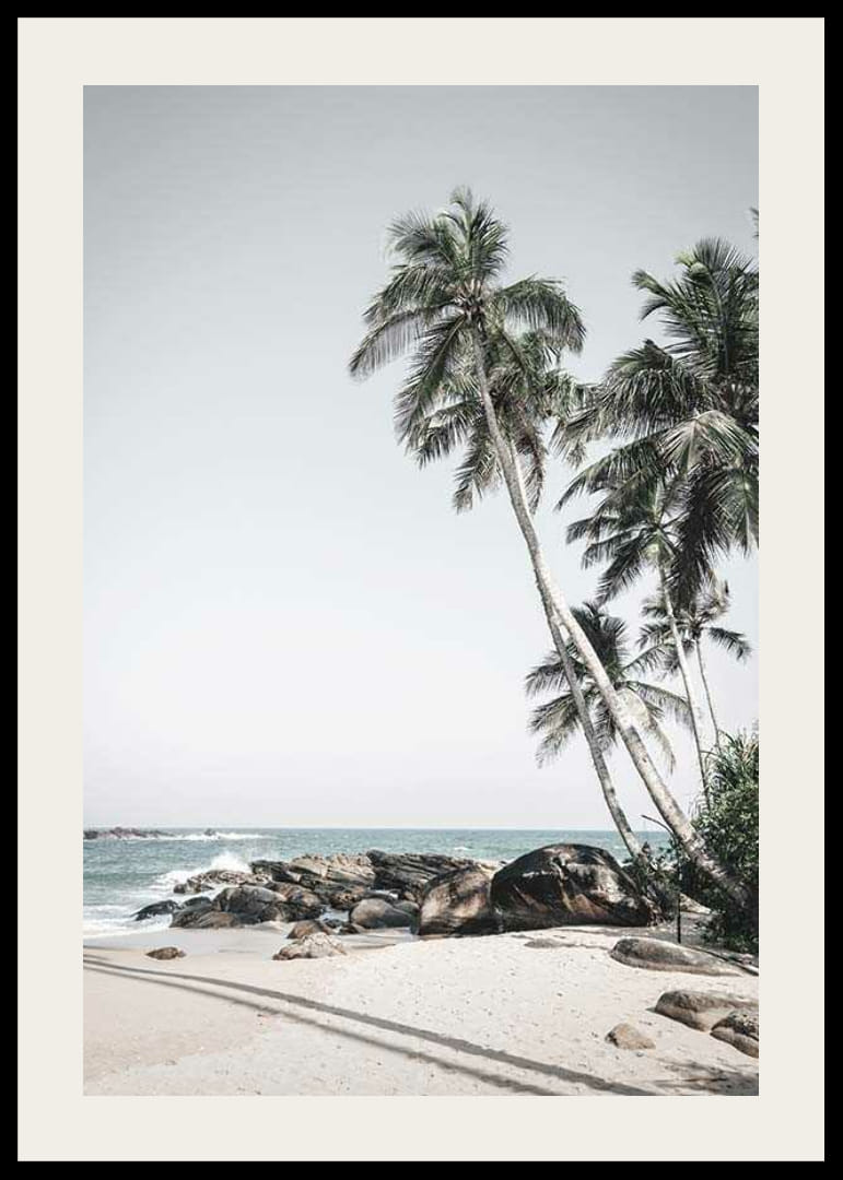 Fotografische palmbomen op zandstrand, kliffen en zee-12