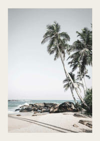 Fotografische palmbomen op zandstrand, kliffen en zee-3