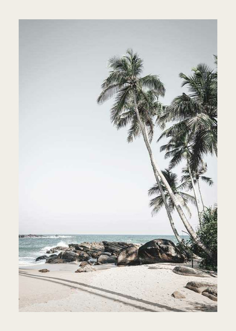 Fotografische palmbomen op zandstrand, kliffen en zee-12