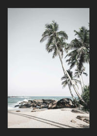Fotografische palmbomen op zandstrand, kliffen en zee-5