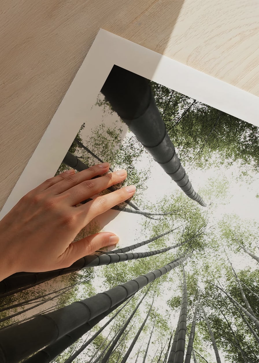 Photograph of tall bamboo trunks against bright green tree canopy-12