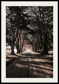 Lunga e stretta strada di campagna sotto alberi fitti nei toni autunnali-2