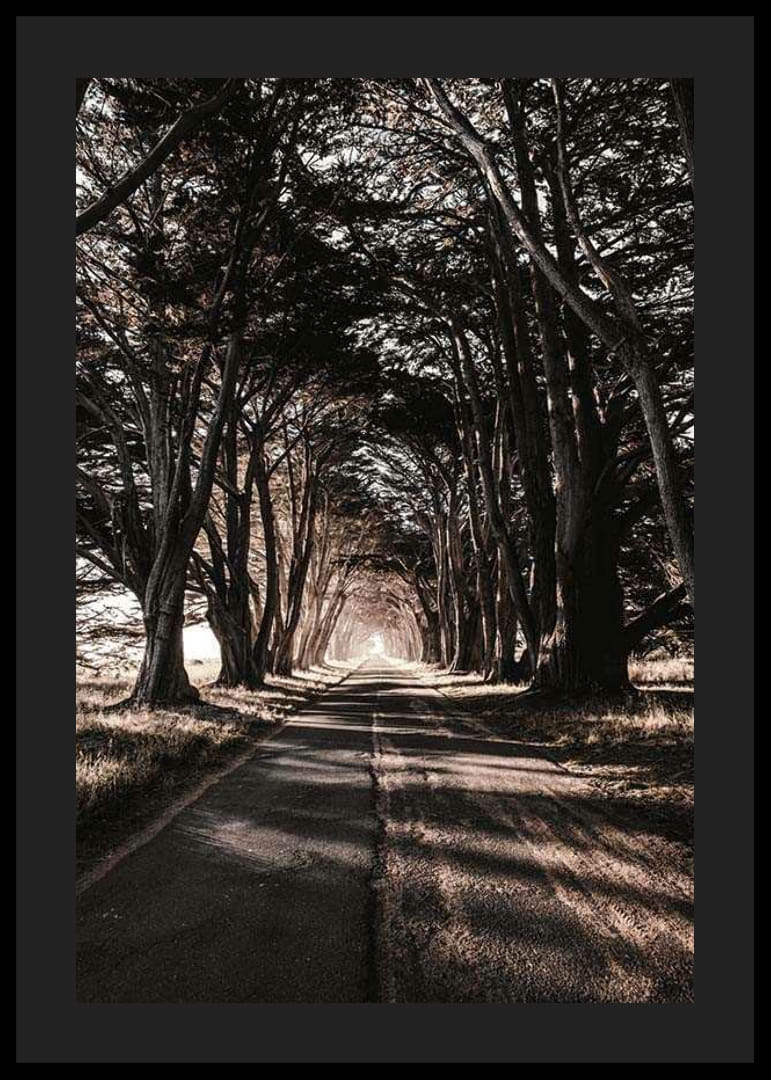 Lunga e stretta strada di campagna sotto alberi fitti nei toni autunnali-12