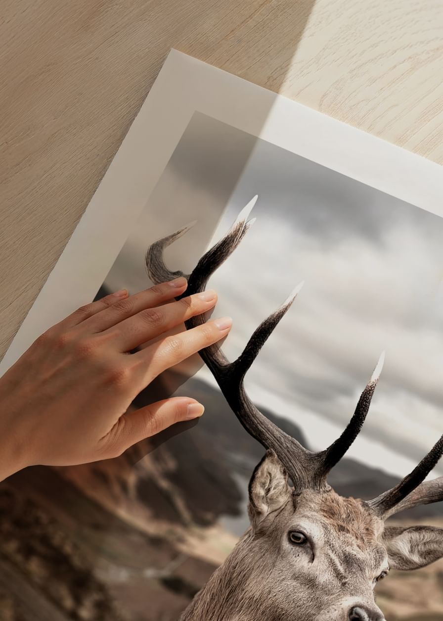 Deer In Mountain Landscape-12