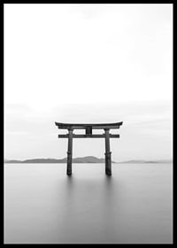 Black and white torii gate in water with mountains in the background-6