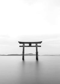 Black and white torii gate in water with mountains in the background-7