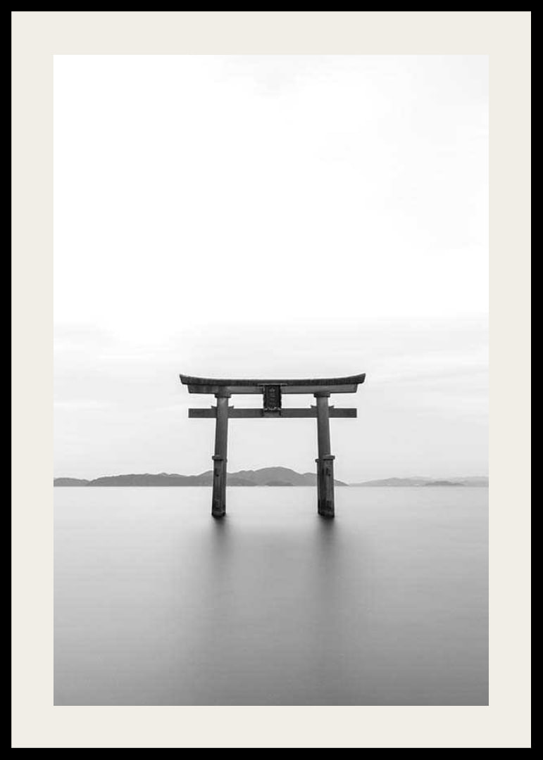 Black and white torii gate in water with mountains in the background-12