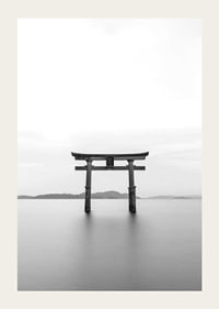 Black and white torii gate in water with mountains in the background-3