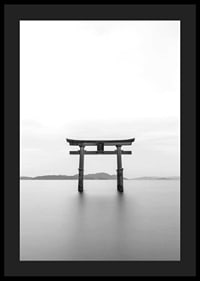 Black and white torii gate in water with mountains in the background-4