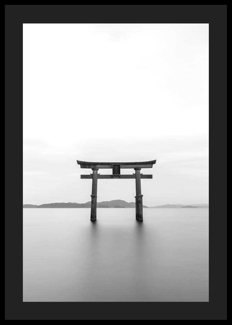 Black and white torii gate in water with mountains in the background-12
