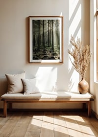 Photograph of dense coniferous forest with sun rays between the trees-8