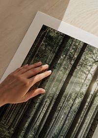 Sunbeam Forest-5