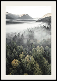 Photograph of misty mountain forest with autumn tones and wide views-2