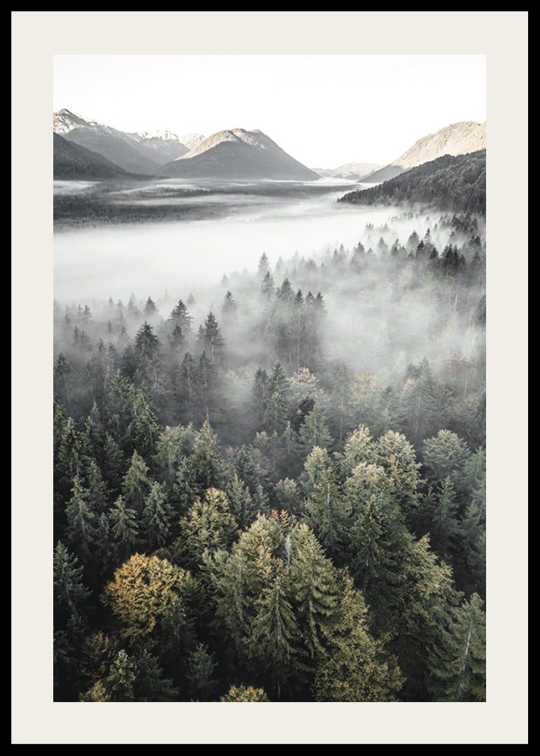 Photograph of misty mountain forest with autumn tones and wide views-12