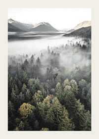 Photograph of misty mountain forest with autumn tones and wide views-3