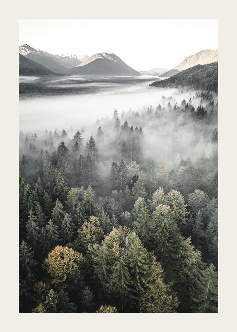 Photograph of misty mountain forest with autumn tones and wide views-12