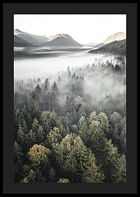 Photograph of misty mountain forest with autumn tones and wide views-4