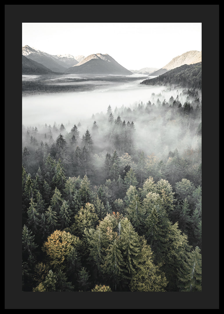 Photograph of misty mountain forest with autumn tones and wide views-12