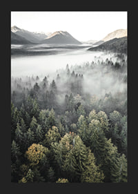 Photograph of misty mountain forest with autumn tones and wide views-5