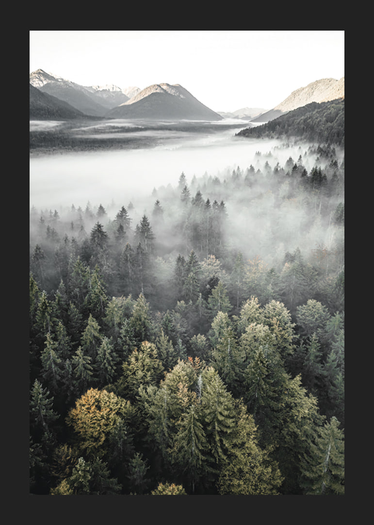 Photograph of misty mountain forest with autumn tones and wide views-12