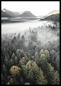 Photograph of misty mountain forest with autumn tones and wide views-6