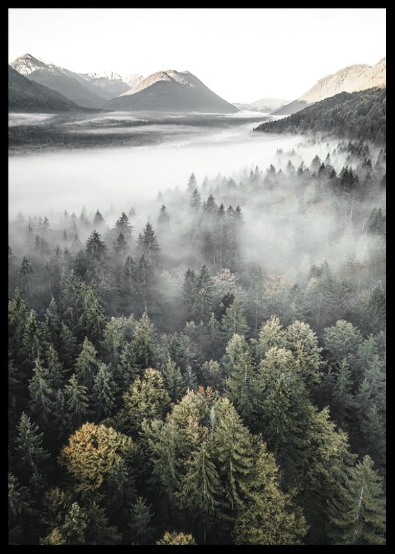 Photograph of misty mountain forest with autumn tones and wide views-12