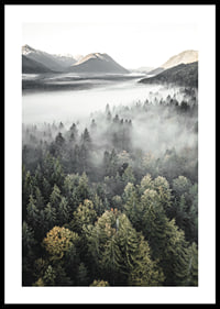 Photograph of misty mountain forest with autumn tones and wide views-0