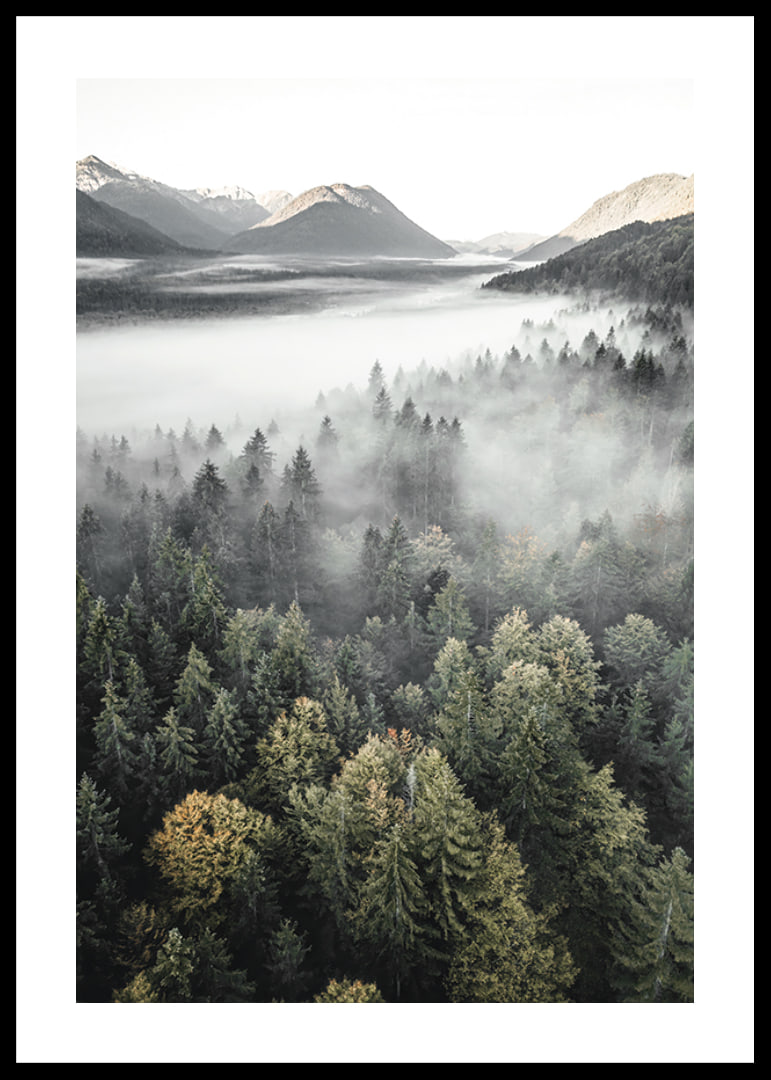 Photograph of misty mountain forest with autumn tones and wide views-12