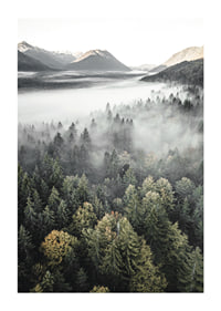 Photograph of misty mountain forest with autumn tones and wide views-1