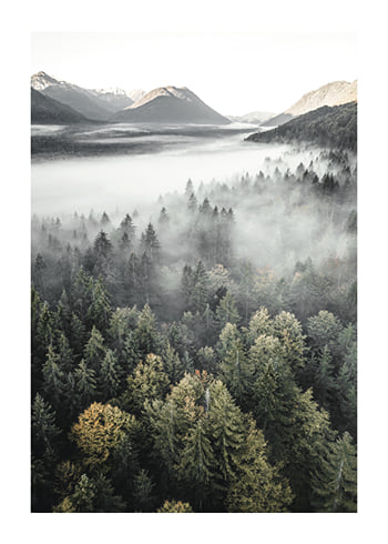 Poster Misty Mountains