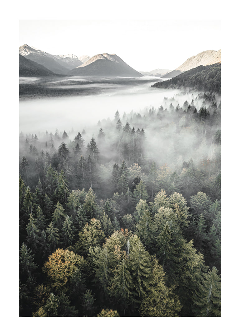 Photograph of misty mountain forest with autumn tones and wide views-12
