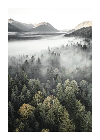 Poster Misty Mountains