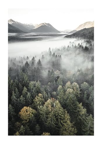 Poster Misty Mountains