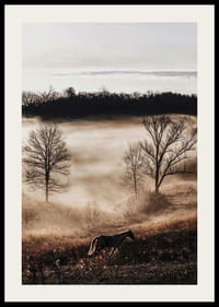 Fotografia koňa na lúke s hmlou a holými stromami pri západe slnka-2