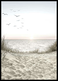 Bright beach with dunes, ocean, seabirds and sunrise-6