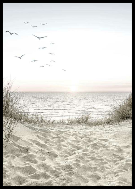 Bright beach with dunes, ocean, seabirds and sunrise-12