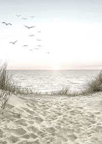 Bright beach with dunes, ocean, seabirds and sunrise-7