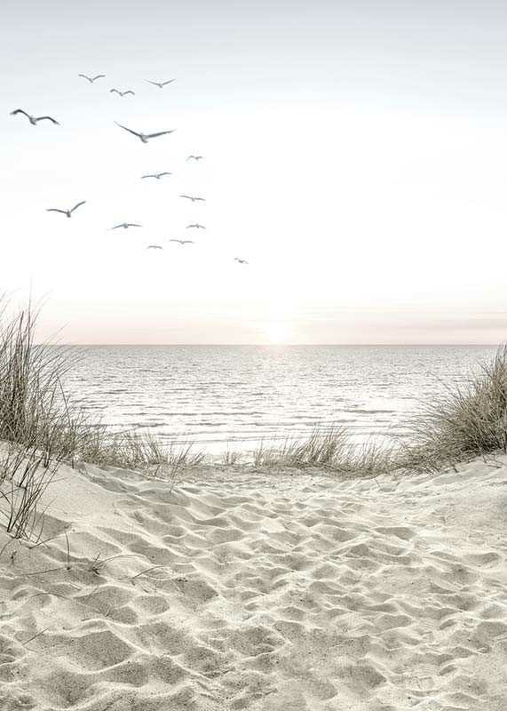 Bright beach with dunes, ocean, seabirds and sunrise-12