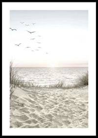 Bright beach with dunes, ocean, seabirds and sunrise-0